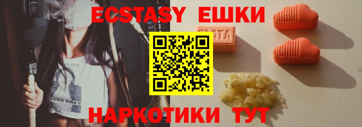 Нарткала  Ecstasy диски  Вход с VPN  ЭКСТАЗИ Philipp Plein 