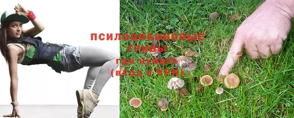 сатива Арсеньев