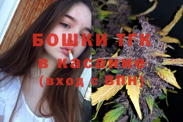 spice Алзамай