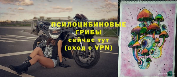 сатива Арсеньев