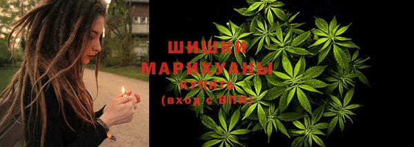 круглые Аркадак