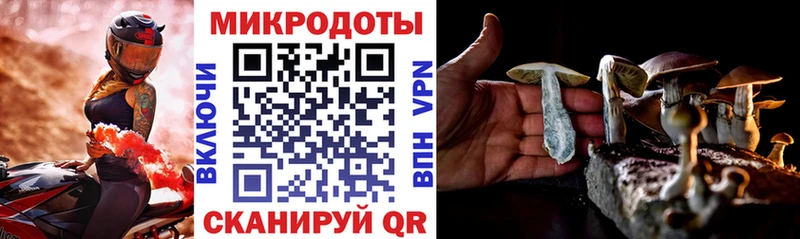 Псилоцибиновые грибы Magic Shrooms  продажа наркотиков  Нарткала 