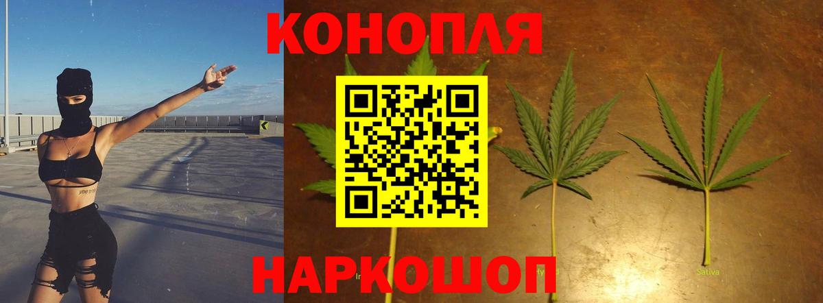 Конопля OG Kush Нарткала